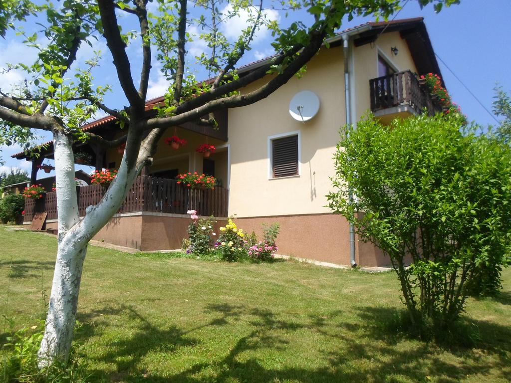House Petra Lägenhet Rakovica Exteriör bild