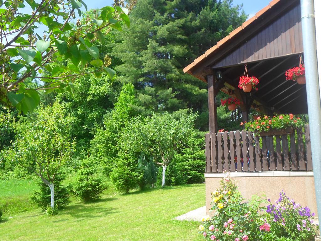 House Petra Lägenhet Rakovica Exteriör bild